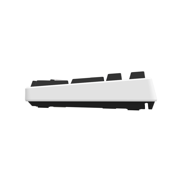 AQIRYS KLAWIATURA MECHANICZNA 96_ 95 KLAWISZY  PRZEWODOWA ADARA white black (11).png